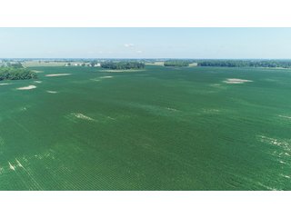 Farmland in Benton & Boone Counties, Indiana - LAND AUCTION - 118.5+/- ACRES IN 3 TRACTS IN BENTON & BOONE COUNTIES, INDIANA